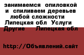 занимаемся  опиловкой и  спиливаем деревьев любой сложности. - Липецкая обл. Услуги » Другие   . Липецкая обл.